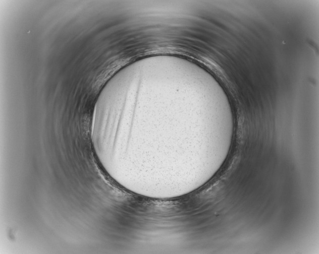 X0000101650849200807311411