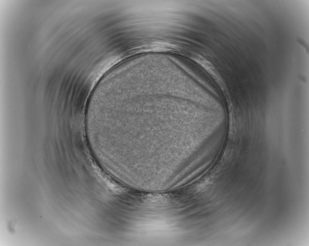 X0000101650850200807311411