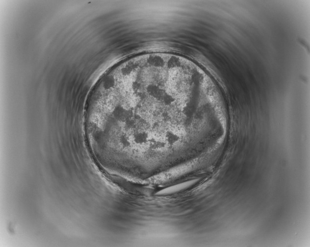 X0000101650853200807311411
