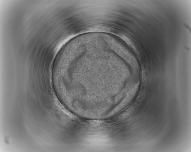 X0000101650854200807311411