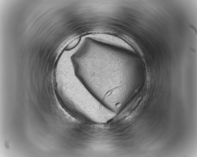 X0000101650855200807311411