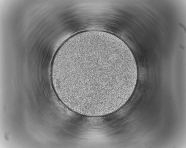 X0000101650856200807311412