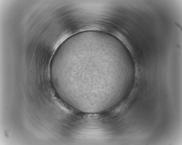 X0000101650858200807311412