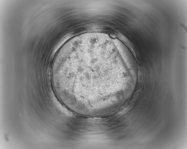 X0000101650859200807311412