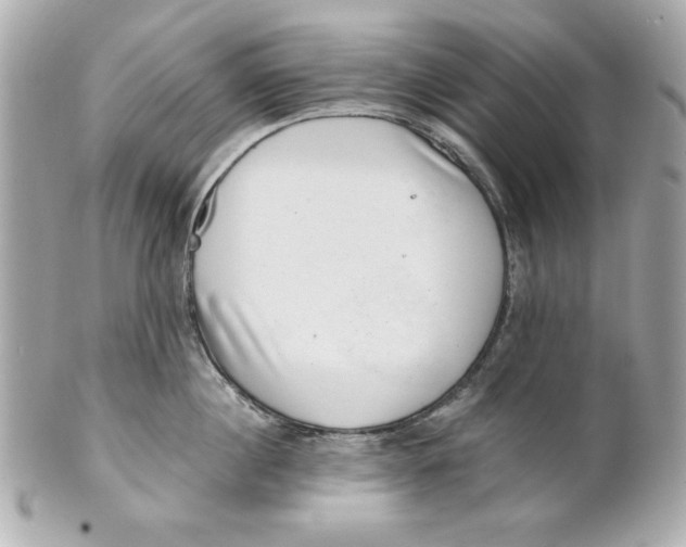 X0000101650860200807311412