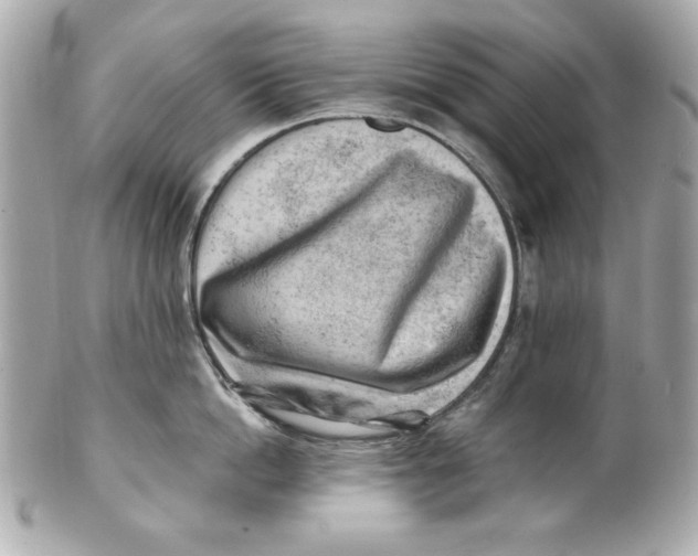 X0000101650862200807311412