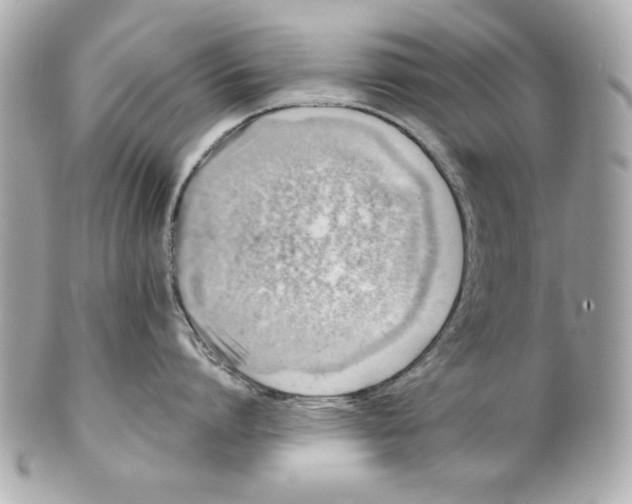X0000101650864200807311412