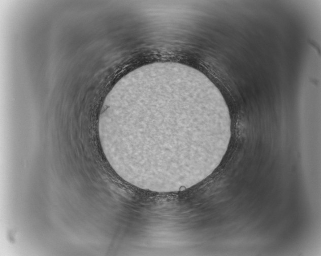X0000101650865200807311411