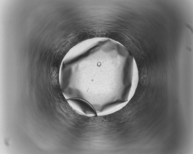 X0000101650866200807311411