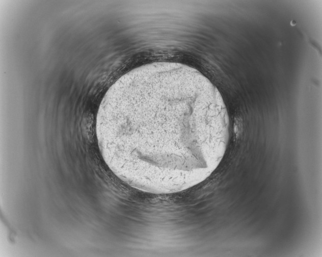 X0000101650867200807311411