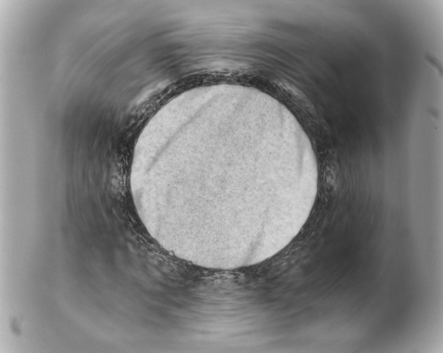 X0000101650869200807311411