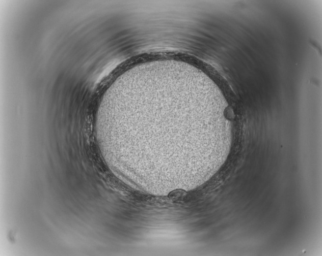 X0000101650871200807311411
