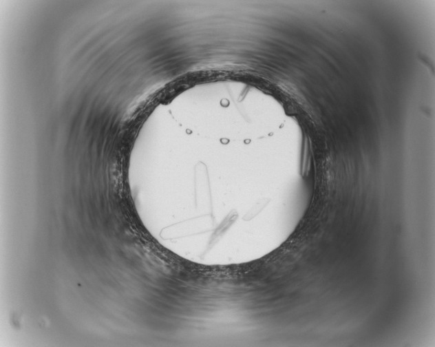 X0000101650872200807311411