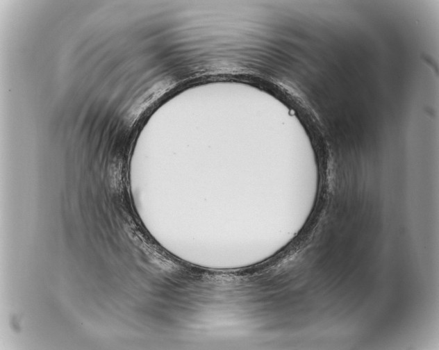 X0000101650873200807311411