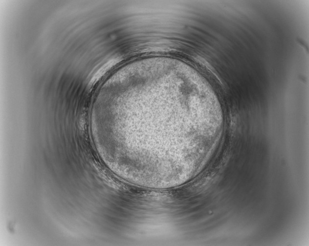 X0000101650874200807311411