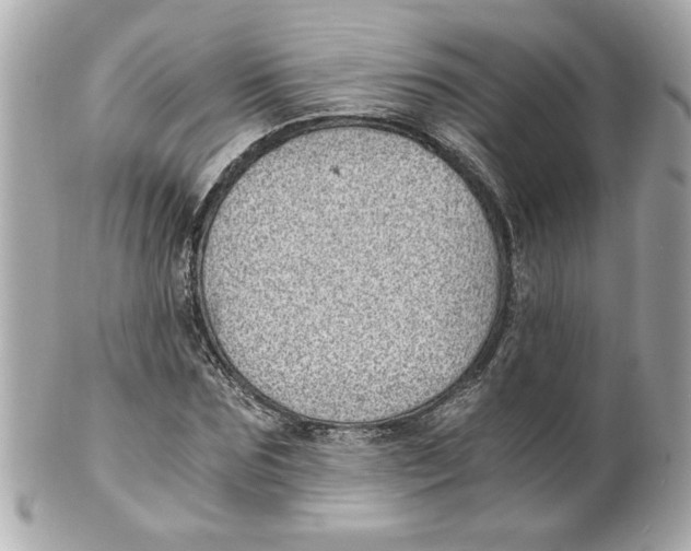 X0000101650875200807311411