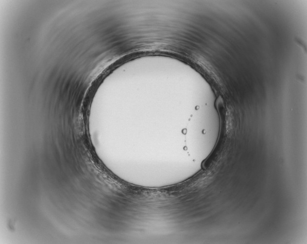 X0000101650876200807311411
