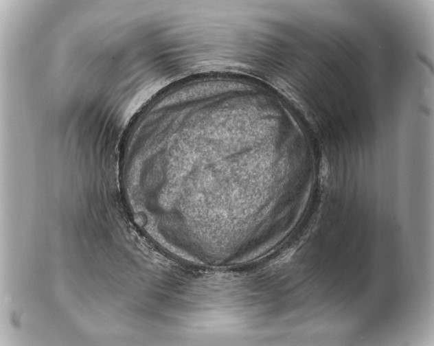 X0000101650877200807311411