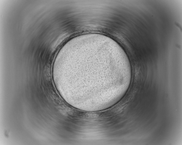 X0000101650878200807311411