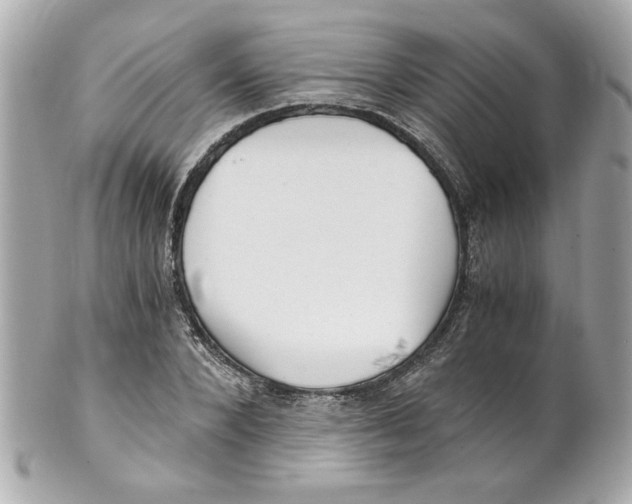 X0000101650880200807311411