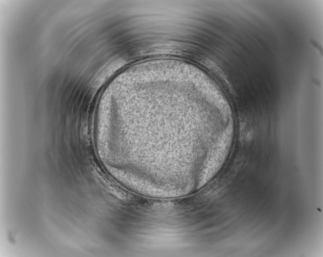 X0000101650882200807311411