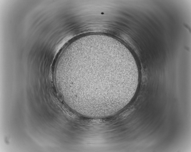 X0000101650883200807311411