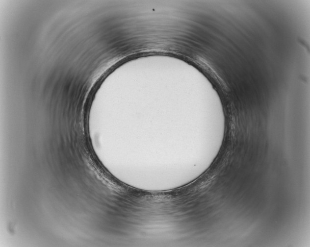 X0000101650884200807311411