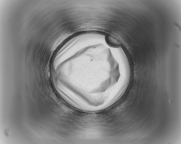 X0000101650885200807311411