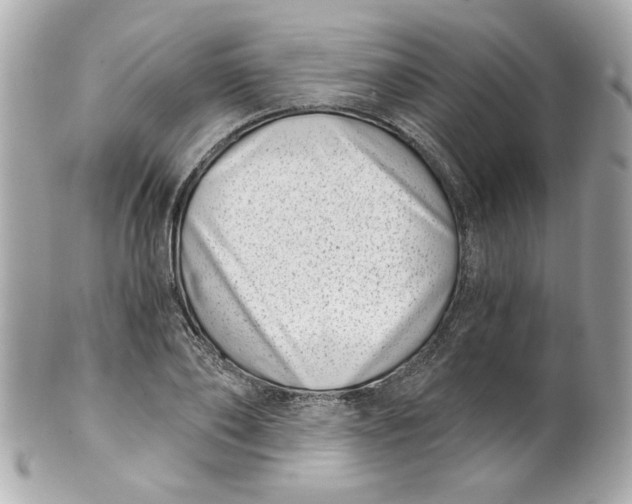 X0000101650886200807311411