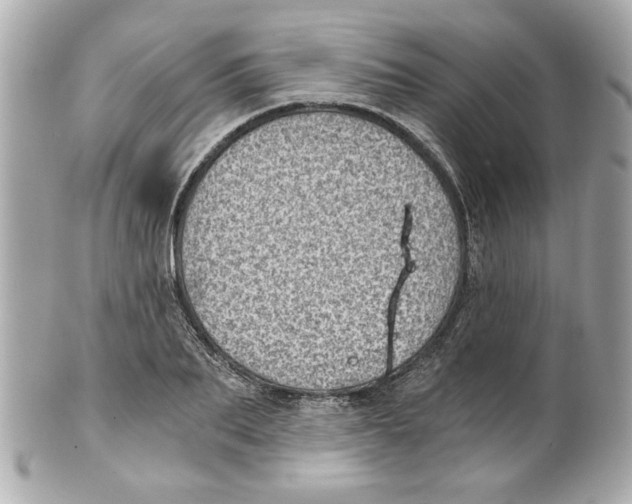X0000101650887200807311411
