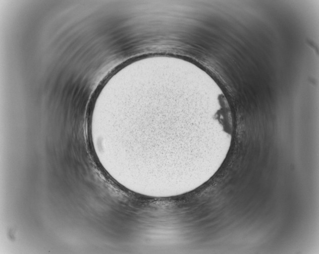 X0000101650888200807311411