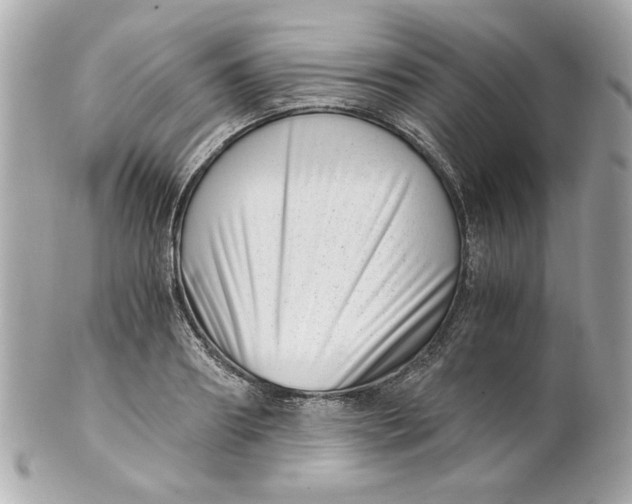 X0000101650890200807311411