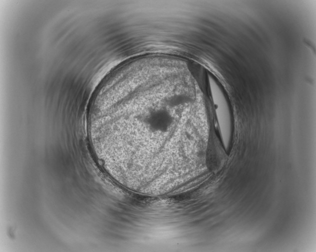X0000101650891200807311411