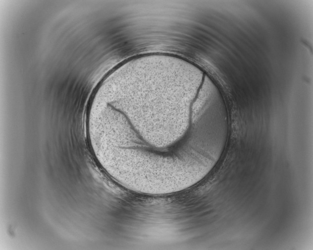 X0000101650892200807311411