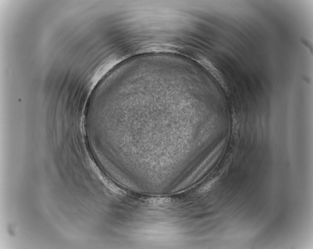 X0000101650893200807311411