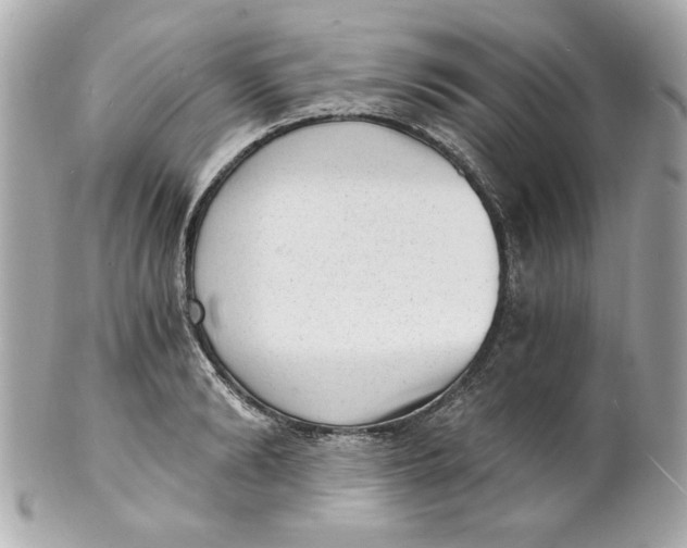 X0000101650894200807311411