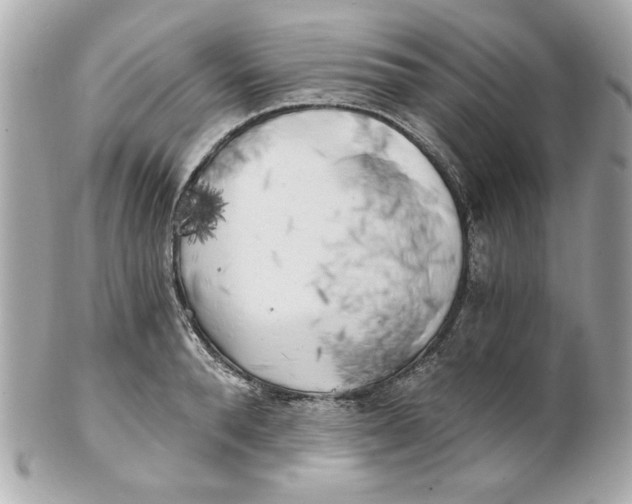 X0000101650896200807311411