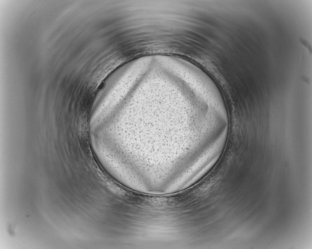 X0000101650897200807311411