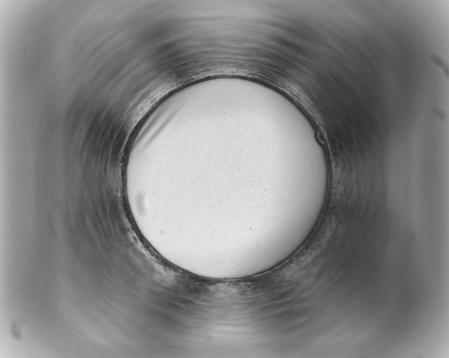 X0000101650898200807311411