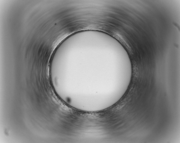 X0000101650900200807311410