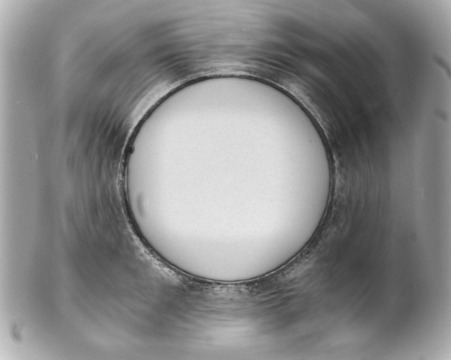 X0000101650901200807311410