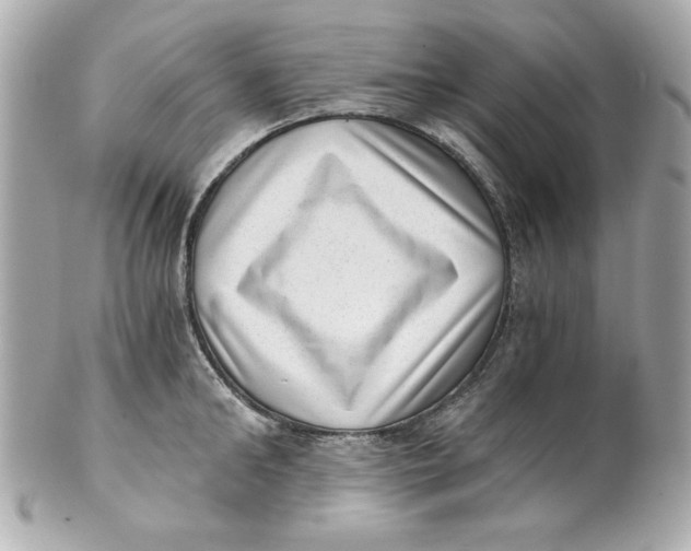 X0000101650902200807311410