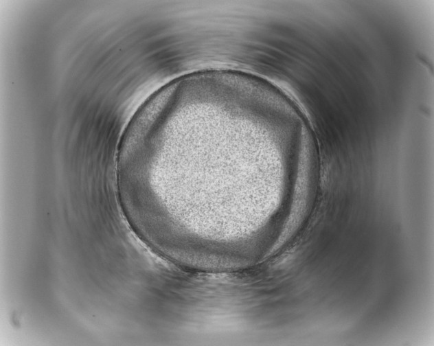 X0000101650903200807311410