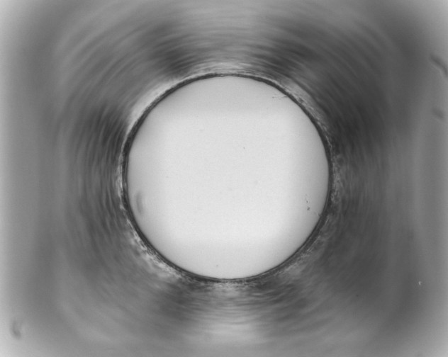 X0000101650904200807311410