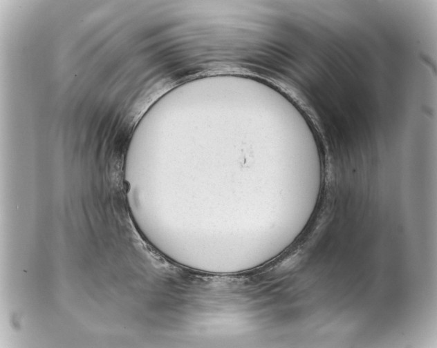 X0000101650905200807311410