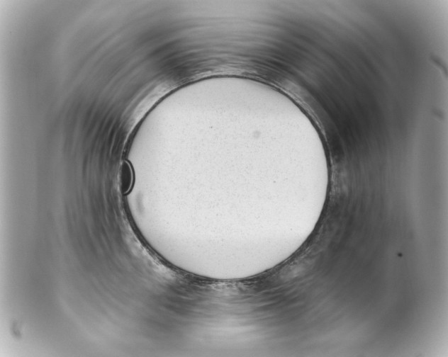 X0000101650906200807311410