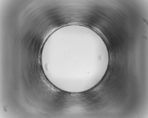 X0000101650908200807311410