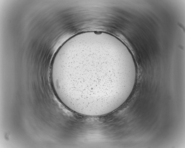 X0000101650909200807311410