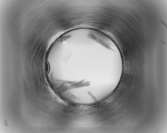 X0000101650910200807311410