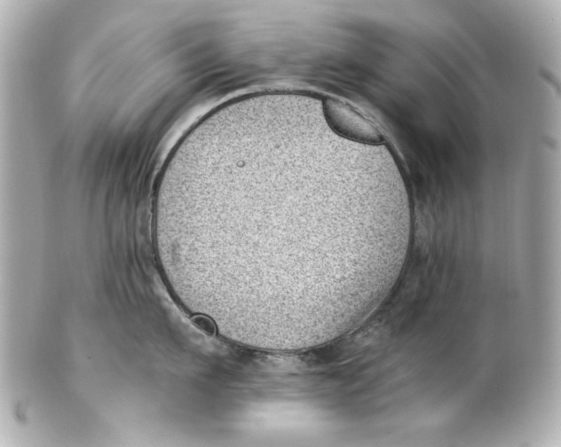 X0000101650911200807311410